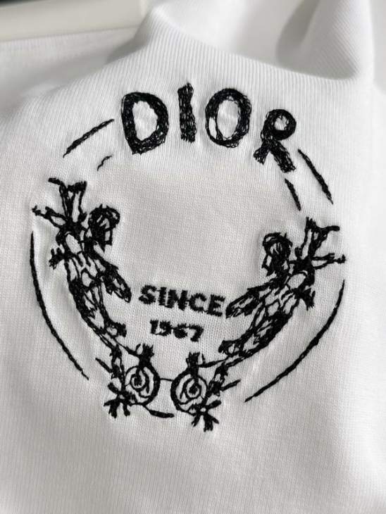 Dior T Shirts Short _SKUDiorS-2XLtltx3916005
